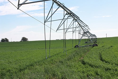 Property photo 19 - LAND AUCTION, 3255+/- Acres offered in 13 Tracts